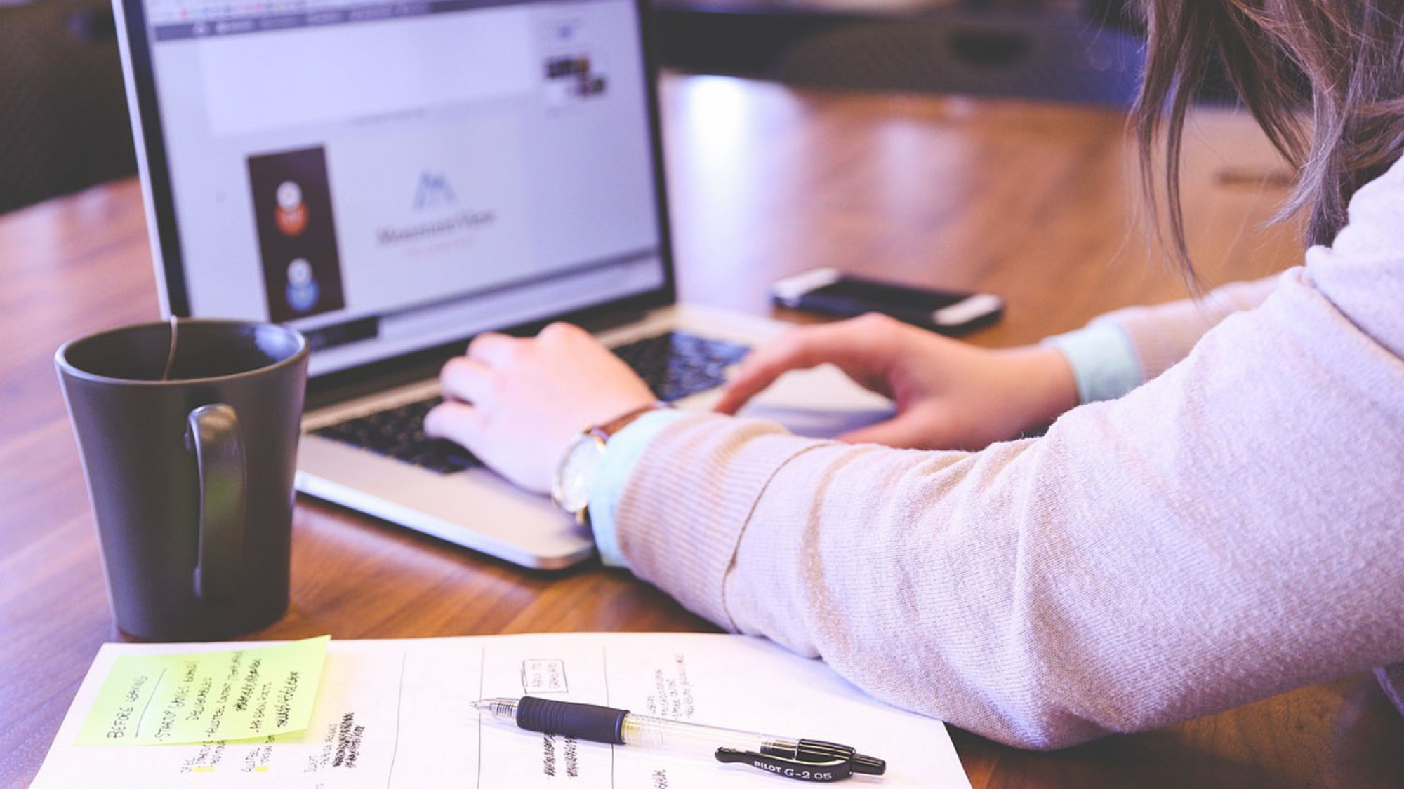 Ter minha própria plataforma de e-commerce x Alugar uma plataforma